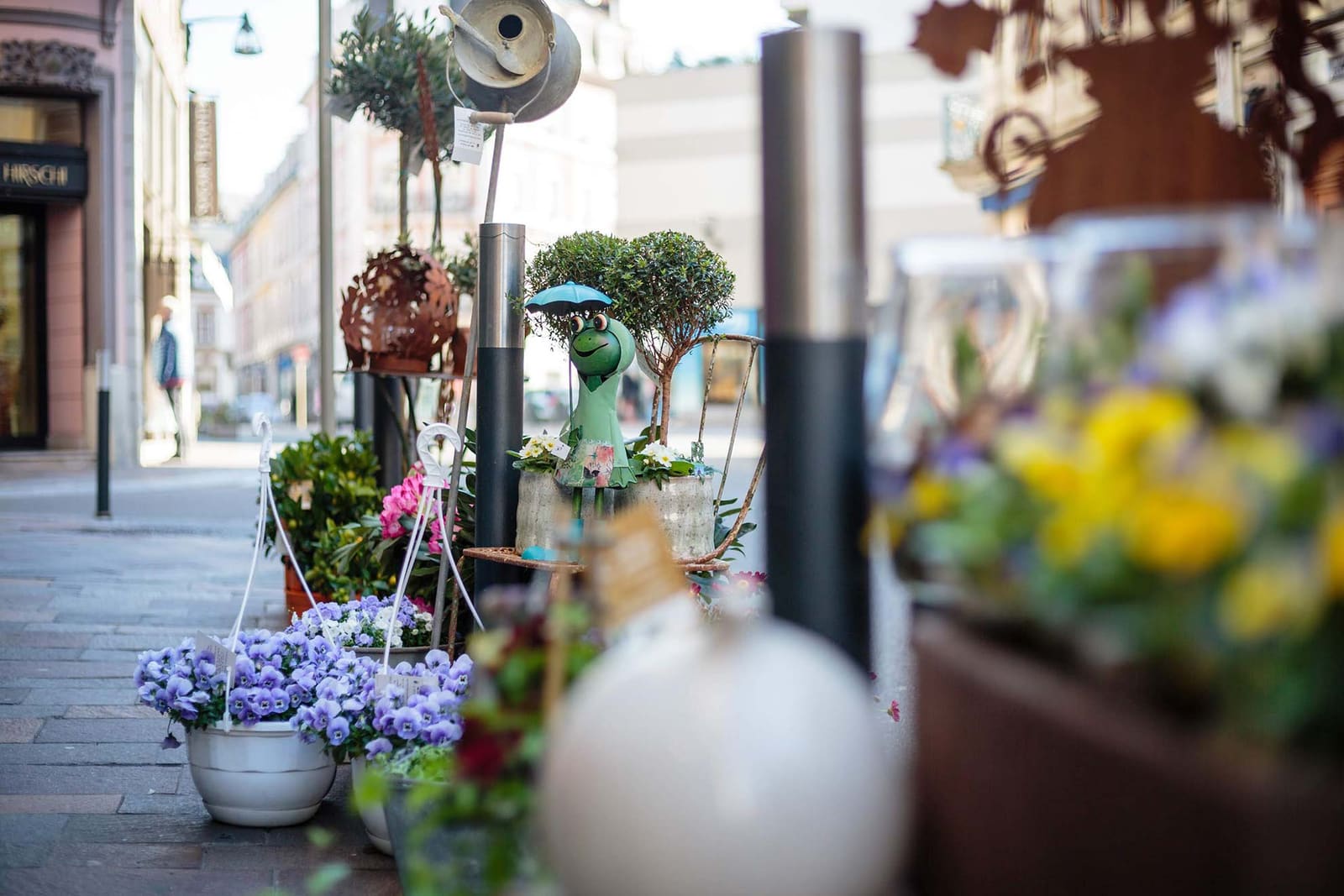 Suspensions fleuries et hortensias sur le trottoir de la rue des Fleurs